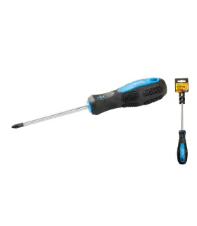 magnetischer Schraubendreher MASTERTOOL Philips PH2*100 mm 48-5210