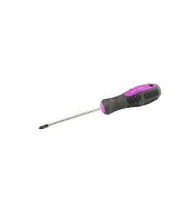 Skrutkovač Pozidriv magnetický MASTERTOOL PZ1*100 mm 48-5710