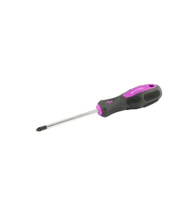 Skrutkovač magnetický MASTERTOOL Pozidriv PZ2*100 mm 48-5910