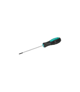 magnetischer Schraubendreher MASTERTOOL TORX TT 10*100 mm 49-0101
