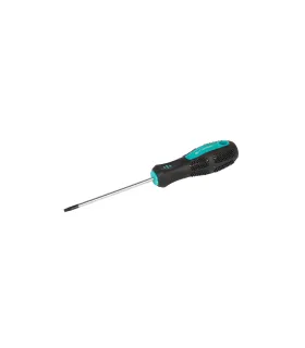 Skrutkovač magnetický MASTERTOOL TORX TT 15*100 mm 49-0151