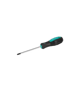Skrutkovač magnetický MASTERTOOL TORX TT 25*100 mm 49-0251