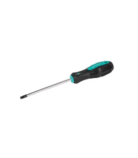 Skrutkovač magnetický MASTERTOOL TORX TT30*125 mm 49-0301