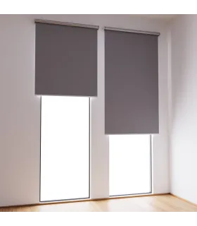 Roleta Deň/Noc sivá DN13