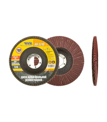 Fächerschleifscheibe MASTERTOOL T29 P100 125*22 mm 08-3210