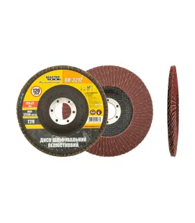 Kotúč brúsny lamelový MASTERTOOL Т29 P120 125*22 mm 08-3212